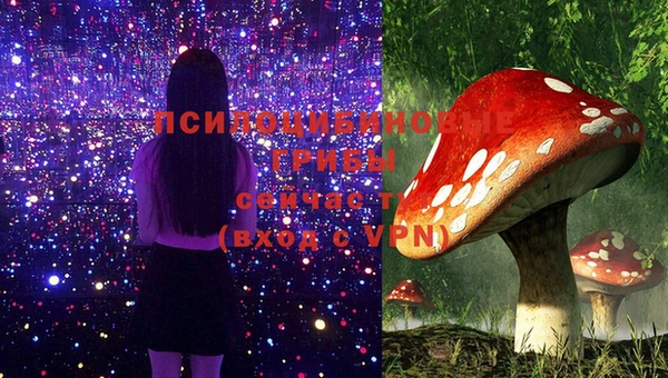 PSILOCYBIN Белоозёрский