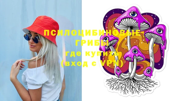 PSILOCYBIN Белоозёрский