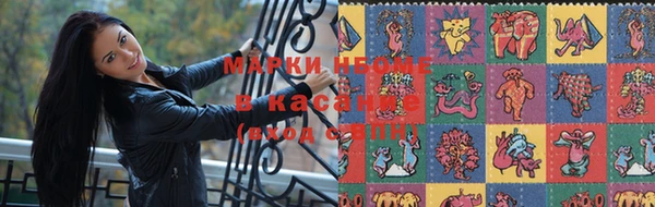 крисы Баксан
