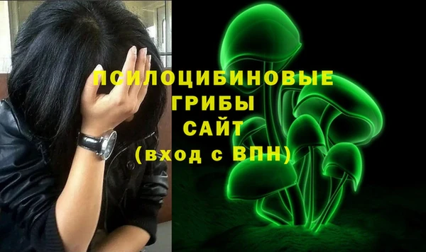 прущие крисы Белокуриха