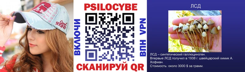 дарнет шоп  Пятигорск  Галлюциногенные грибы ЛСД 